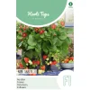 Horti Tops Moestuin>Aardbeien Ruby Ann hangaardbei