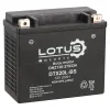 Lotus Accu'S>Accu motor 12V 20Ah DTX20L-BS V2