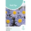 Horti Tops Moestuin>Alpenaster lichtblauw