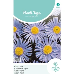 Horti Tops Moestuin>Alpenaster lichtblauw