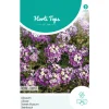 Horti Tops Moestuin>Alyssum Royal carpet
