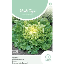 Horti Tops Moestuin>Andijvie Nuance