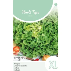 Horti Tops Moestuin>Andijvie nummer vijf