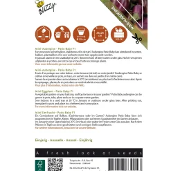 Buzzy Moestuin>Aubergine Patio baby F1