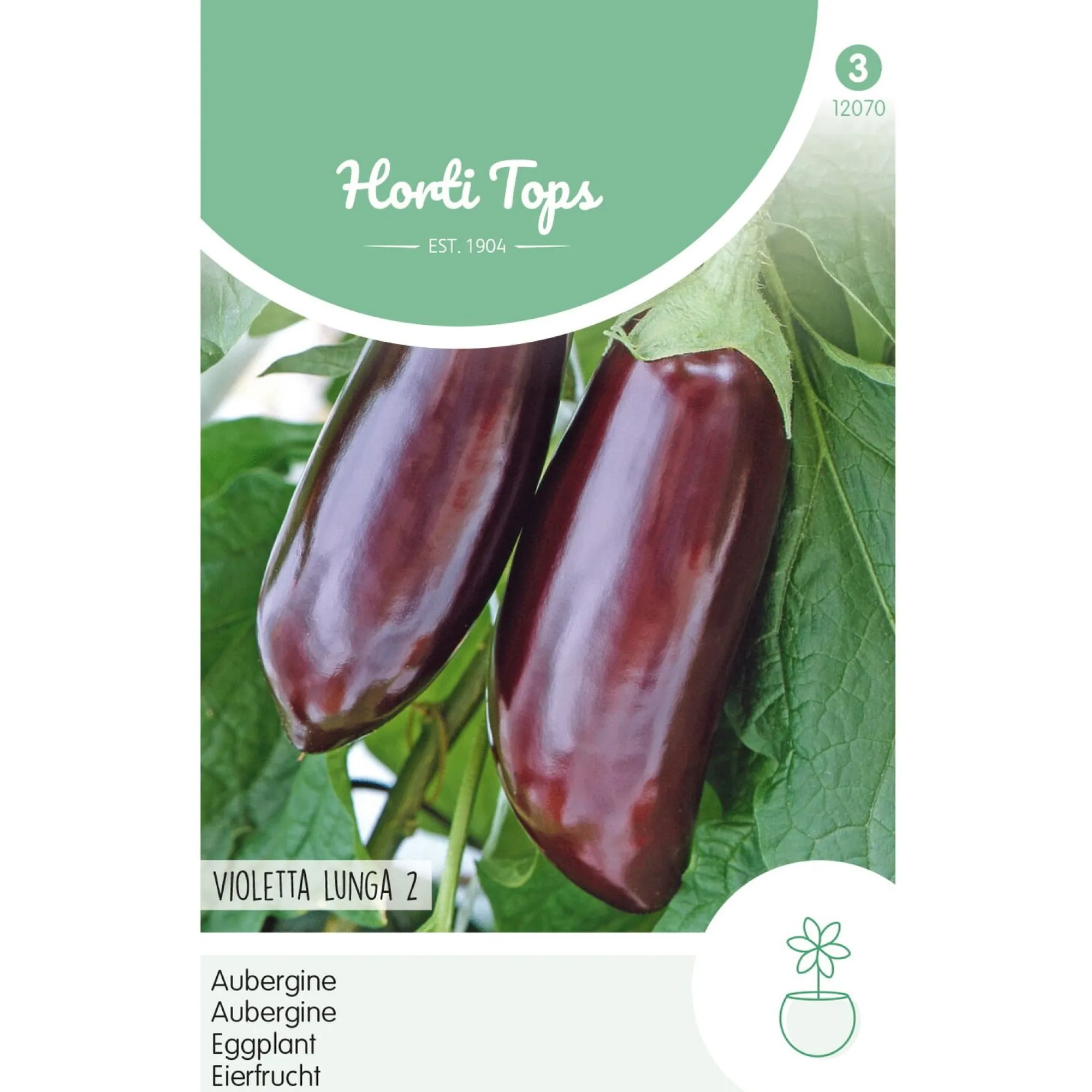 Horti Tops Moestuin>Aubergine violetta lunga 2
