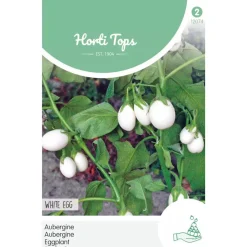 Horti Tops Moestuin>Aubergine white Eggs