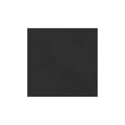 Friendly Pet Reizen Hond><noscript><img width=