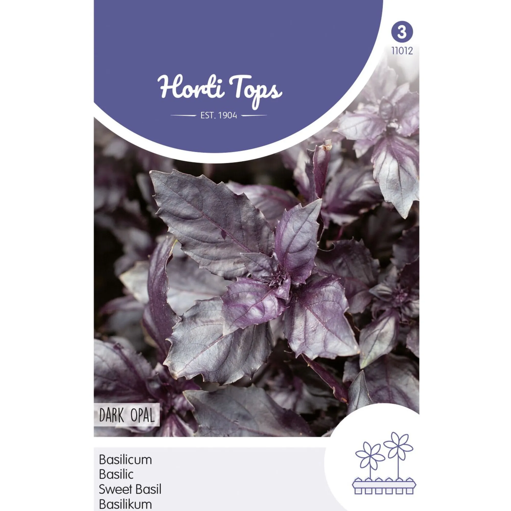 Horti Tops Moestuin>Basilicum dark opal zaad
