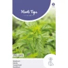 Horti Tops Moestuin>Basilicum fijnbladig zaad