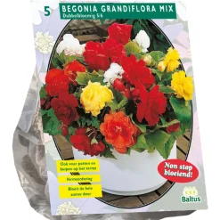Baltus Bodemverbeteraars>Begonia dubbelbloemig mix 5st.