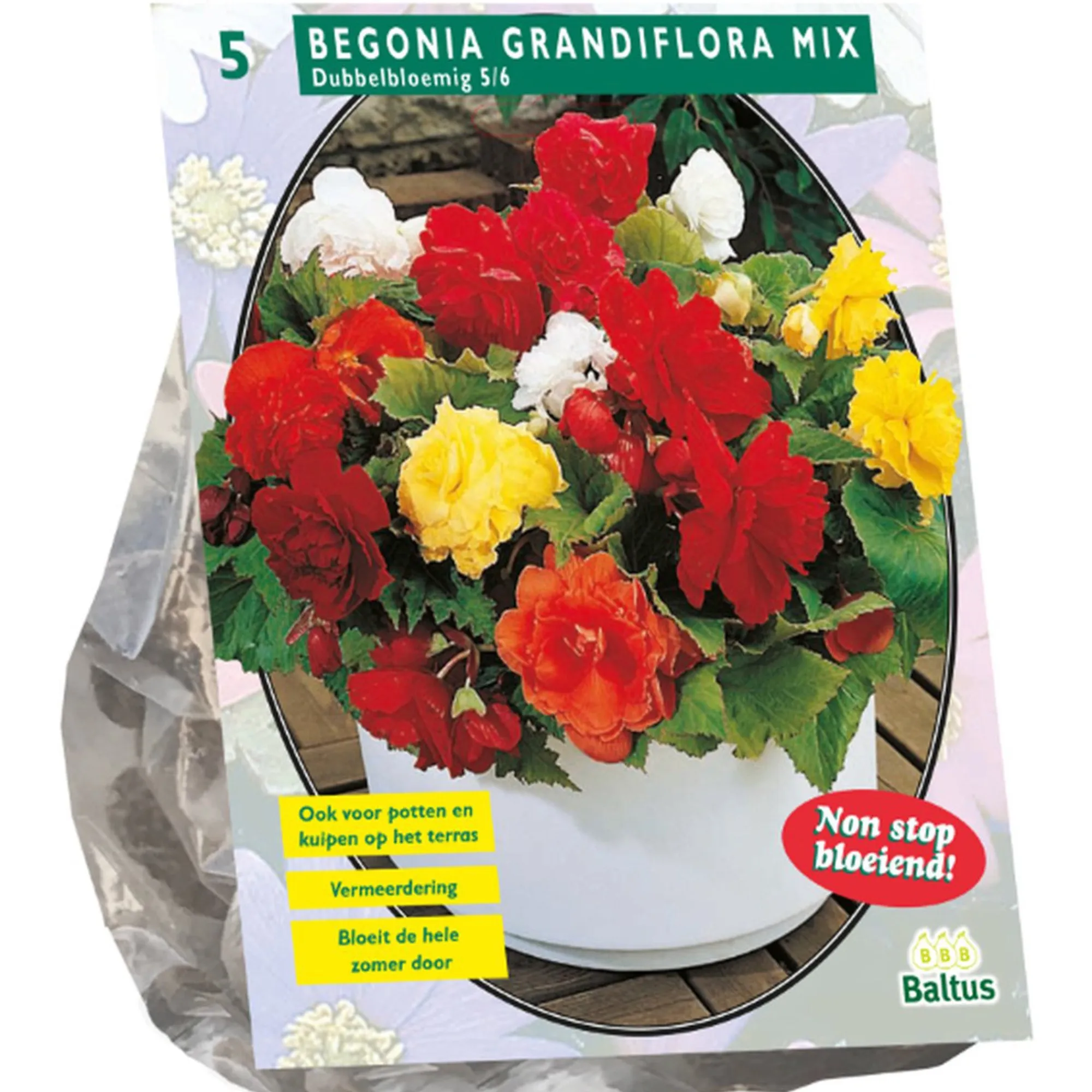 Baltus Bodemverbeteraars>Begonia dubbelbloemig mix 5st.
