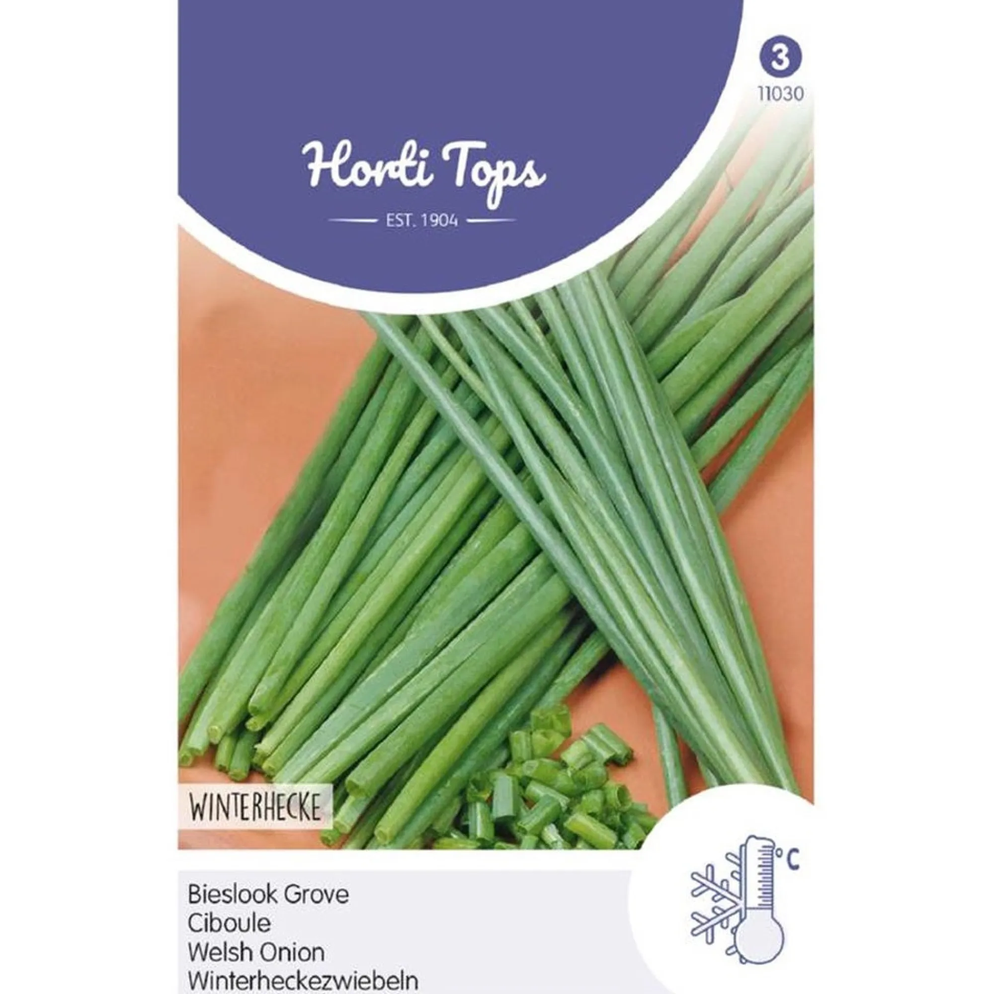 Horti Tops Moestuin>Bieslook grove, zaad