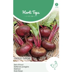 Horti Tops Moestuin>Bieten Egyptische platronde