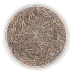 Smulti Vogelvoer>Black soldier flies 3L