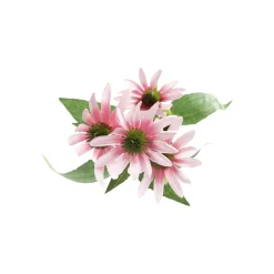 Kunstplanten En Kunstbloemen>Bloem Rudbeckia lila 73 cm