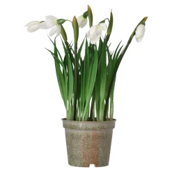 Mica Decorations Kunstplanten En Kunstbloemen>Bloem sneeuwklokje 24 cm