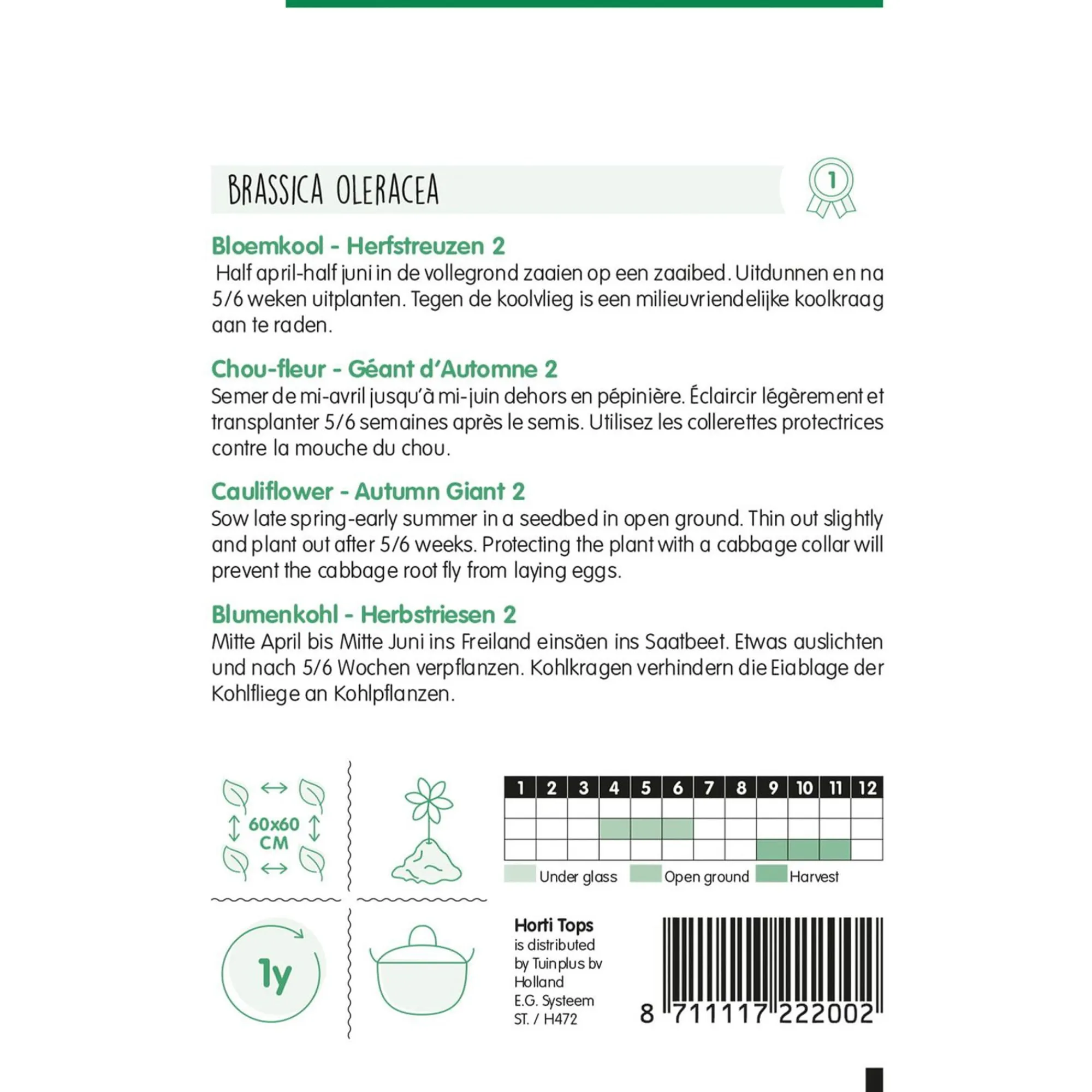 Horti Tops Moestuin>Bloemkool herfstreuzen 2
