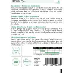 Horti Tops Moestuin>Bosaardbei Baron von Solemacher zaad