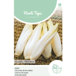 Horti Tops Moestuin>Brussels witlof Hollands middelvroeg