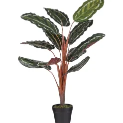 Mica Decorations Kunstplanten En Kunstbloemen>Calathea roseopicta in pot 90 cm