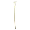 O'malley Kunstplanten En Kunstbloemen>Calla enkel 67 cm wit