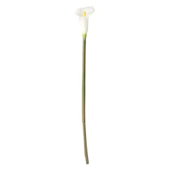 O'malley Kunstplanten En Kunstbloemen>Calla enkel 67 cm wit