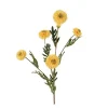Decoris Kunstplanten En Kunstbloemen>Chrysant geel 69 cm
