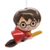 Hallmark Kerstdecoratie>Cool character Harry Potter
