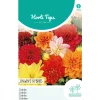 Horti Tops Moestuin>Dahlia Unwin Mix