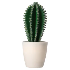 O'malley Kunstplanten En Kunstbloemen>Decoratieve cactusplant 19 cm diverse assorti