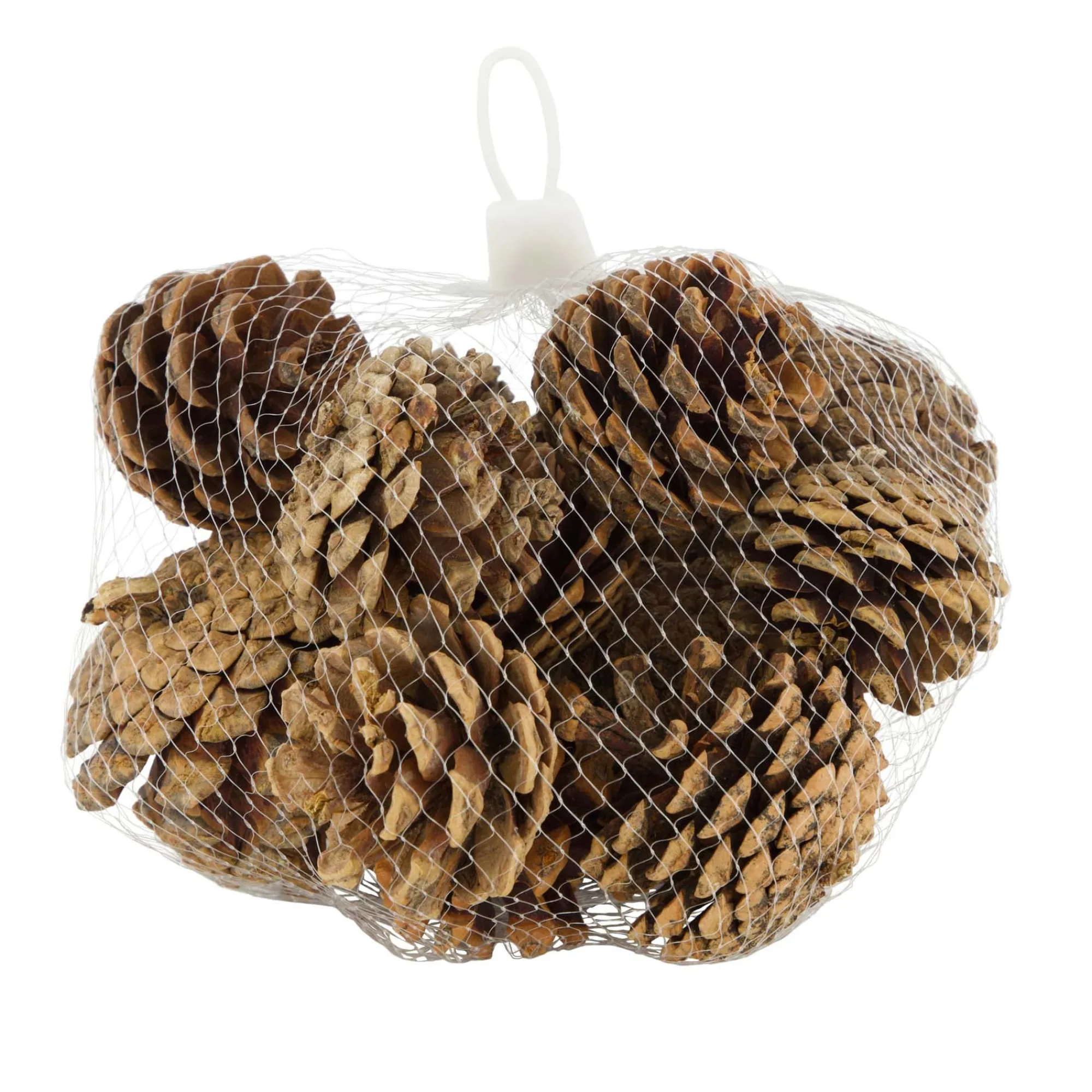 Natural Collections Kerstdecoratie>Dennenappel natural 200g
