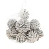 Natural Collections Kerstdecoratie>Dennenappel snowy white 200g