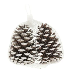 Natural Collections Kerstdecoratie>Dennenappel snowy white 13x13x8 2st