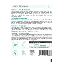 Horti Tops Moestuin>Duifkruid diep donkerpaars