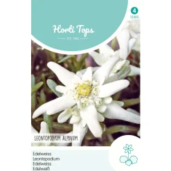Horti Tops Moestuin>Edelweiss