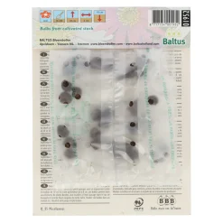 Baltus Bodemverbeteraars>Eranthis Cilicica per 30