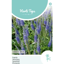 Horti Tops Moestuin>Ereprijs blauw