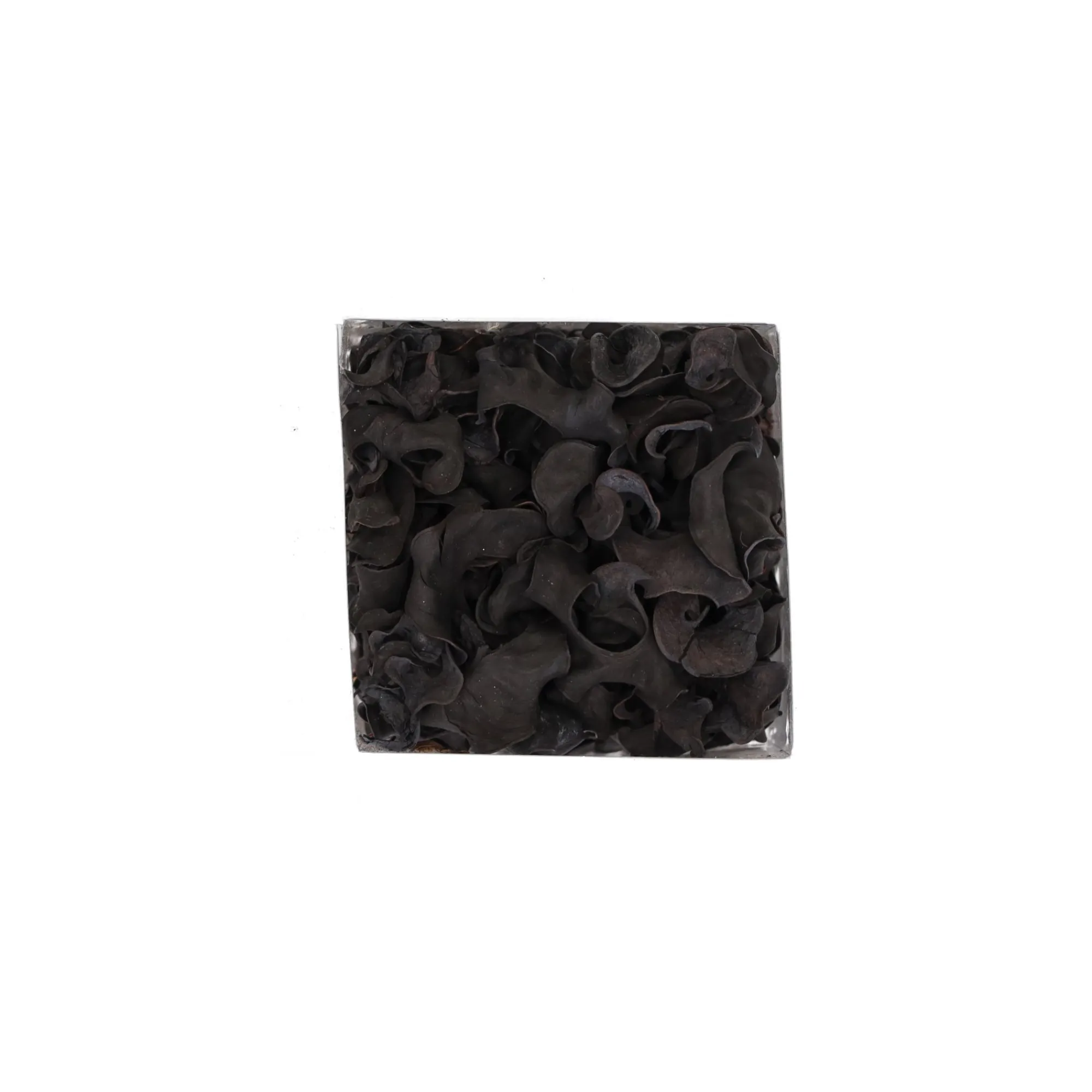 Natural Collections Woondecoratie>Exotische mix natuur 10 x 10 x 20 cm 4 assorti