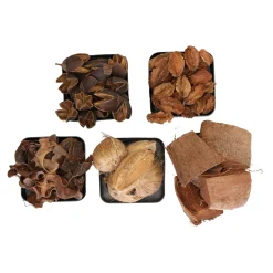 Natural Collections Woondecoratie>Exotische mix natuur 6 x 6 x 14 cm 6 assorti