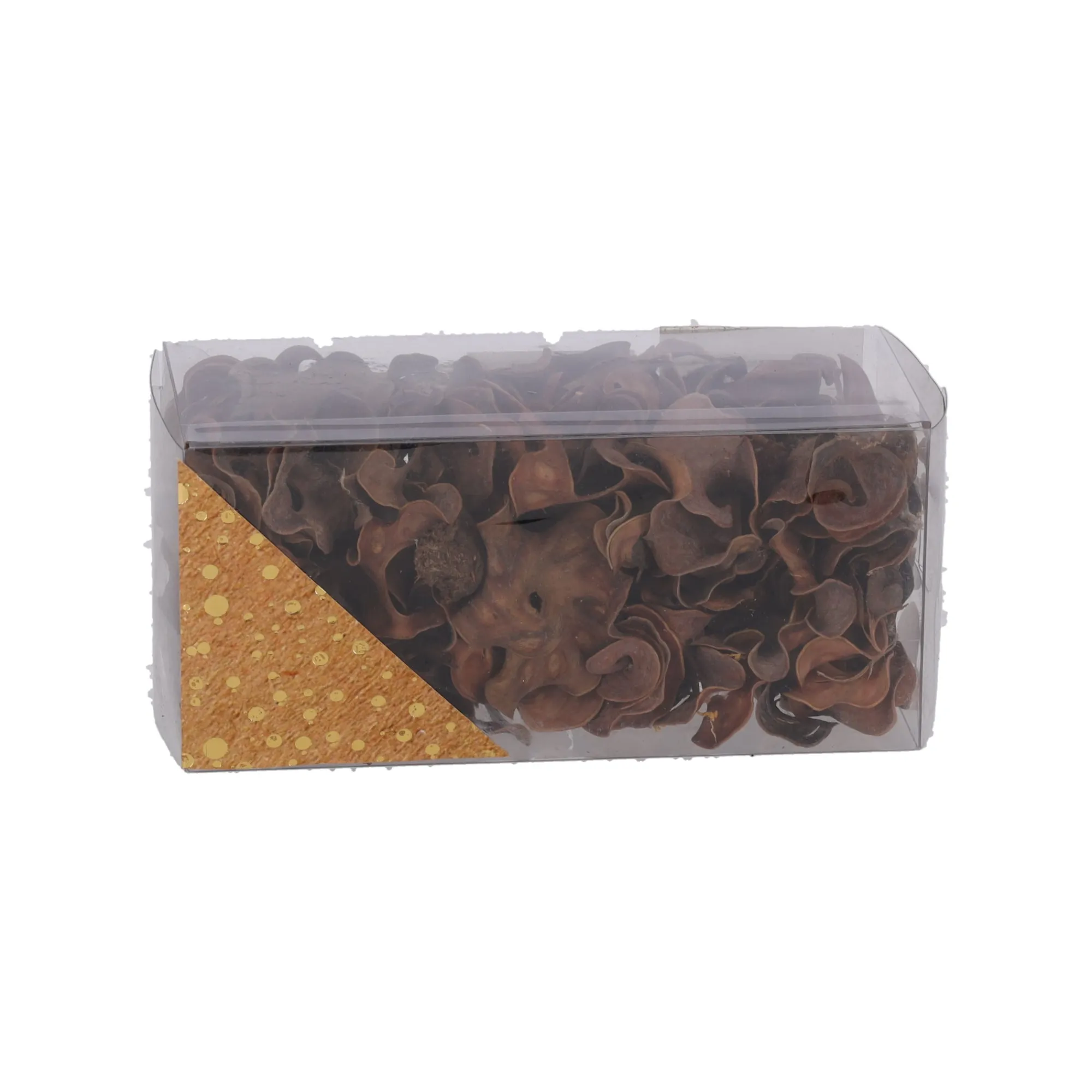 Natural Collections Woondecoratie>Exotische mix natuur 6 x 6 x 14 cm 6 assorti