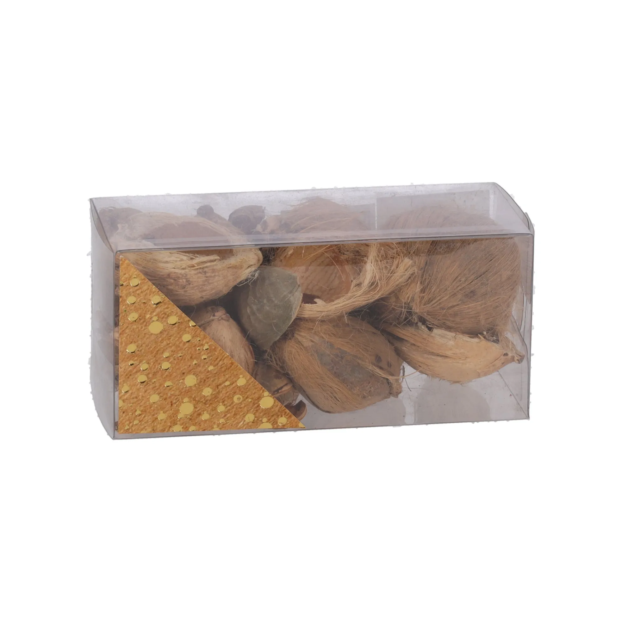 Natural Collections Woondecoratie>Exotische mix natuur 6 x 6 x 14 cm 6 assorti