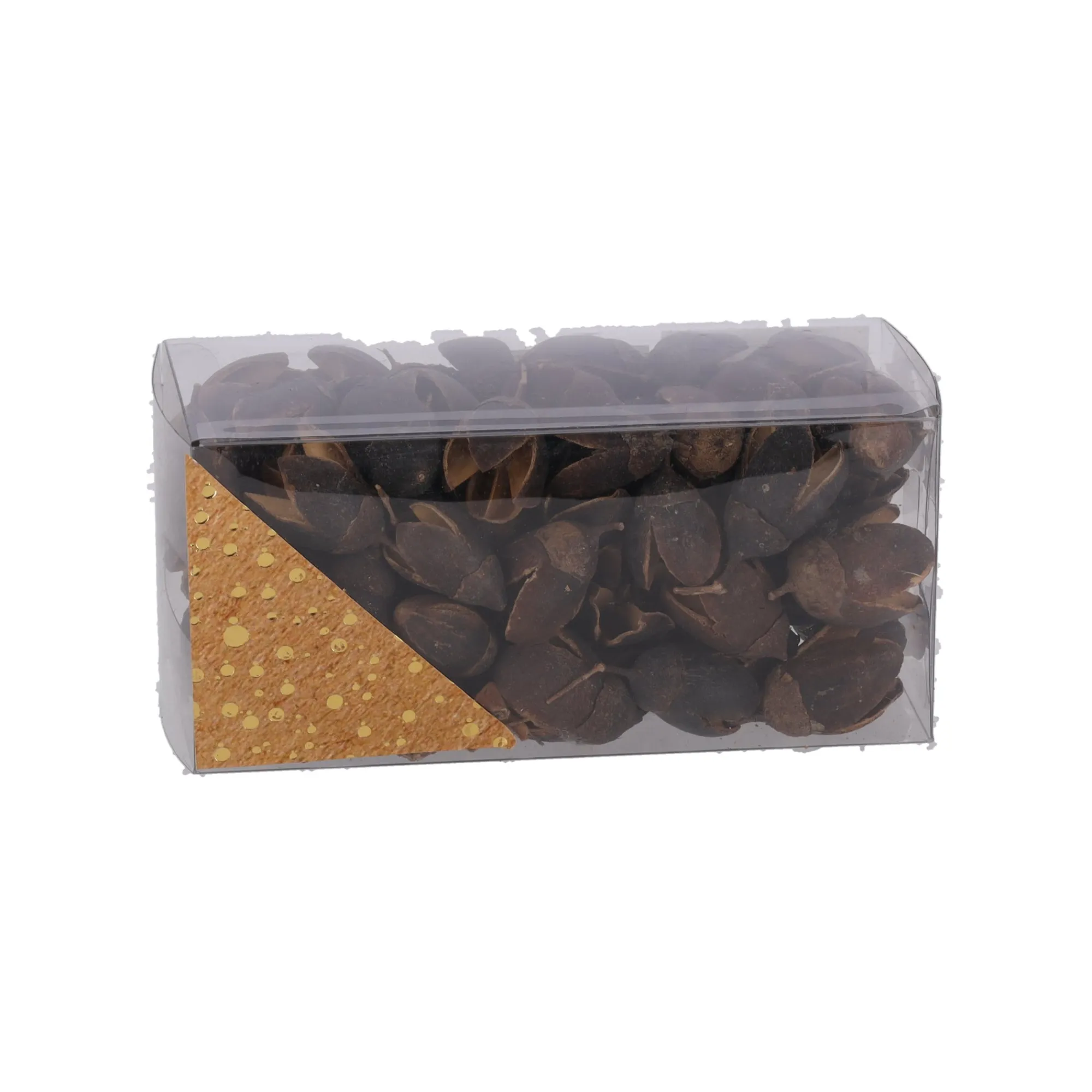 Natural Collections Woondecoratie>Exotische mix natuur 6 x 6 x 14 cm 6 assorti