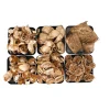 Natural Collections Woondecoratie>Exotische mix natuur goud 6 x 6 x 14 cm 6 assorti