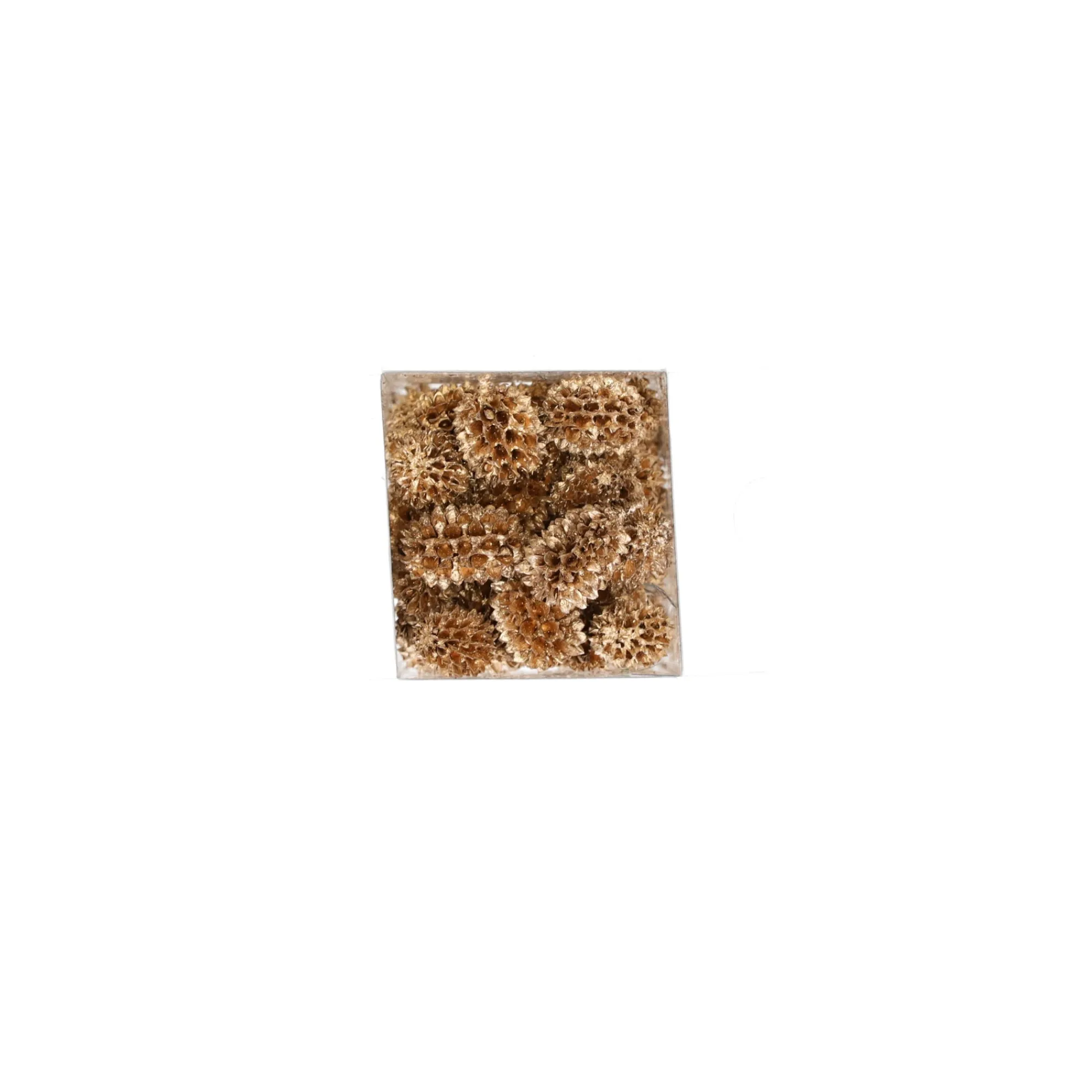 Natural Collections Woondecoratie>Exotische mix natuur goud 6 x 6 x 14 cm 6 assorti