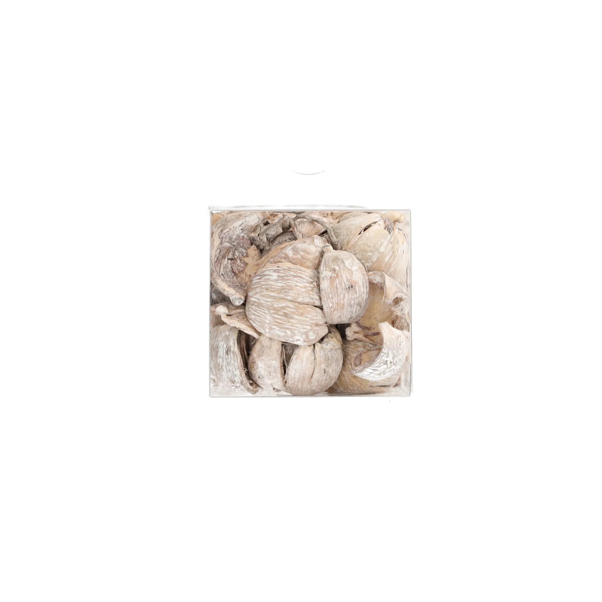 Natural Collections Woondecoratie>Exotische mix natuur white-wash 6 x 6 x 14 cm 6 assorti