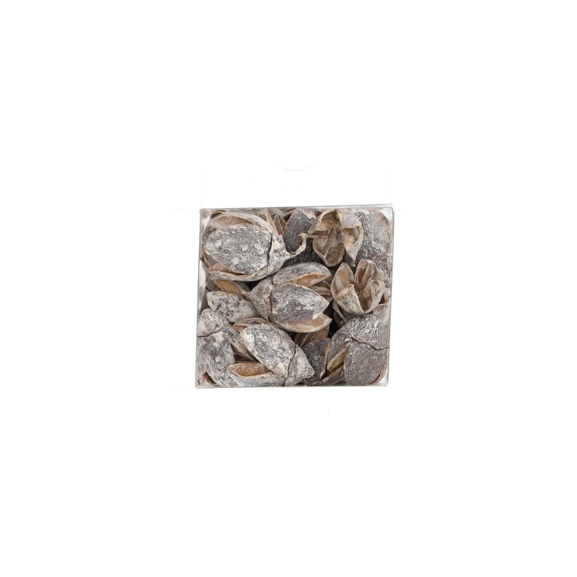 Natural Collections Woondecoratie>Exotische mix natuur white-wash 6 x 6 x 14 cm 6 assorti