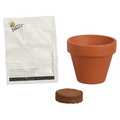 Buzzy Moestuin>Flower Gift Zonnebloem