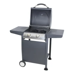 Gasbarbecues>Gasbarbecue Winsconsin