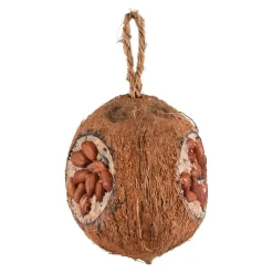 Flamingo Tuinvogels>Gevulde kokosnoot 350gr