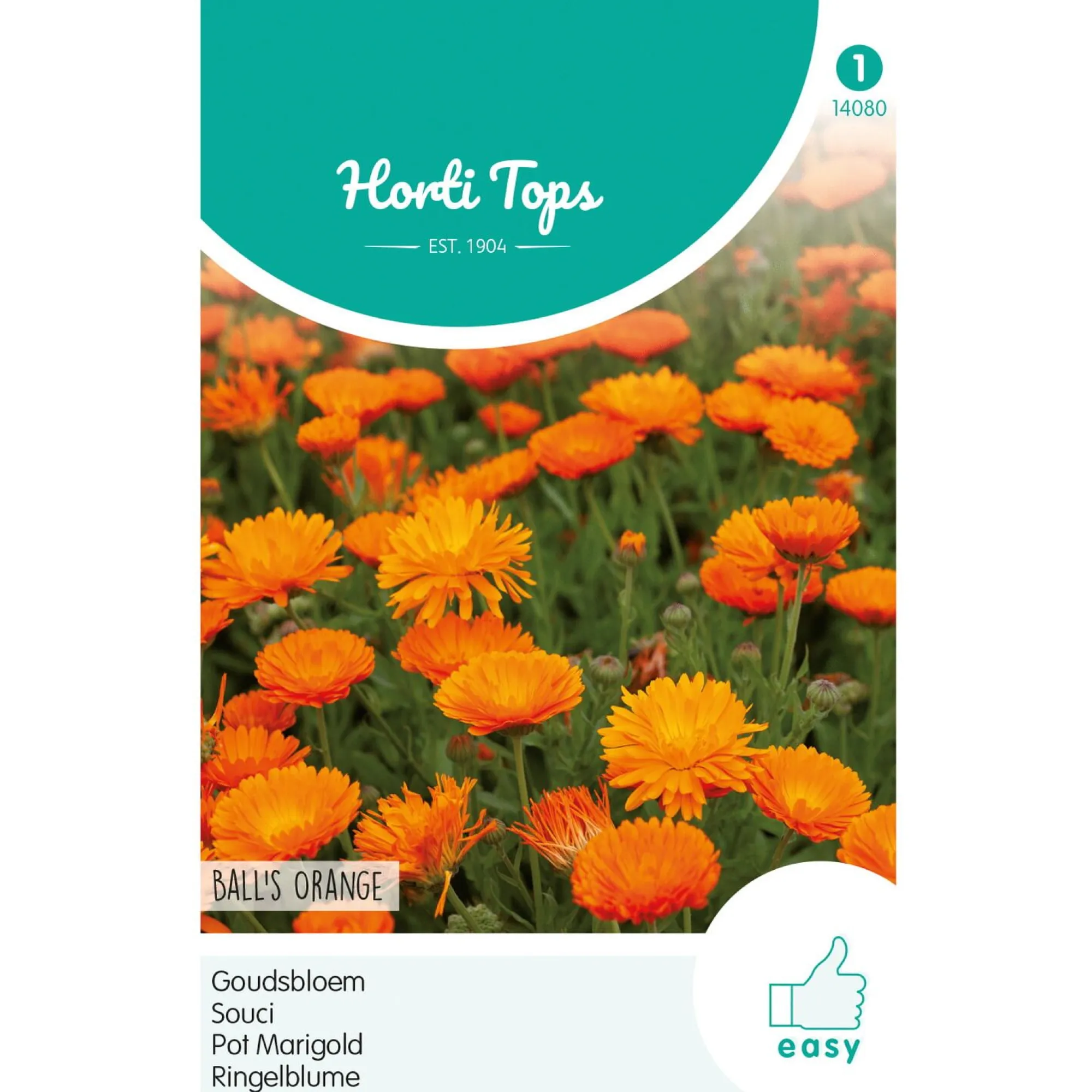 Horti Tops Moestuin>Goudsbloem Ball's Orange